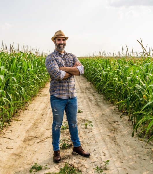 Proud,Farmer,Is,Standing,In,His,Growing,Corn,Field.,He